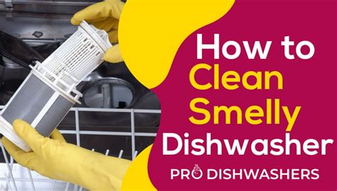 stubborn dishwasher smell
